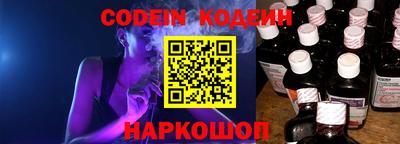 мдпв Кингисепп