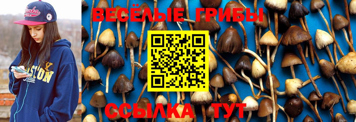 Ярцево  Галлюциногенные грибы GOLDEN TEACHER  Вход с VPN 